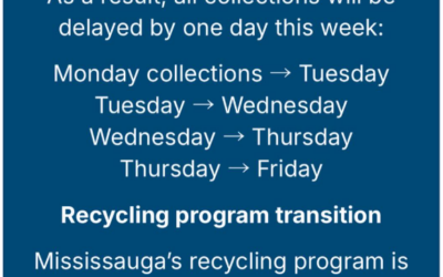 Circular Materials Delay