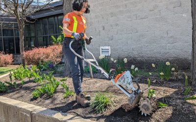 Cleaning up winter’s mess: Spring maintenance begins in Mississauga